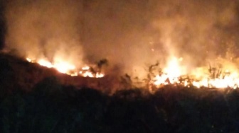 Karhutla di Padang Lawas Utara, 5 Hektare Lahan Terbakar
