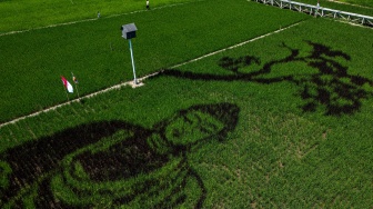 Foto udara warga berjalan di dekat karya seni pari corek bergambar Sang Buddha karya seniman Sidik Gunawan di area persawahan Dusun Sidorejo, Bergas Lor, Kabupaten Semarang, Jawa Tengah, Selasa (25/8/2026). [ANTARA FOTO/Aprillio Akbar/kye]