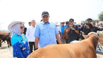 Mampu Tampung 700 Sapi, Pasar Hewan Jonggol Diperkuat untuk Peternak Bogor
