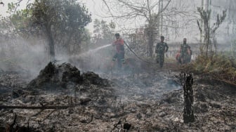 ASEAN Jadi Jalur Penanganan Asap Karhutla Kalimantan, RI Pilih Kerja Sama Ketimbang Saling Tuding
