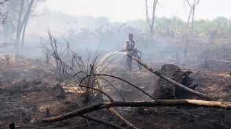 Karhutla di Riau Berulang, WALHI Singgung Penegakan Hukum ke Korporasi Lemah