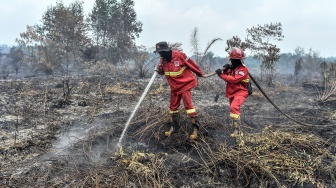 3 Hari Dilanda Karhutla, Lahan Gambut Tanjab Timur Terus Diburu Api