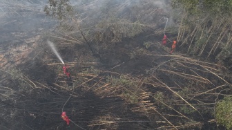 Sehari Usai Rakor Prabowo, 15 Hektar Lahan Semi Gambut Ogan Ilir Terbakar