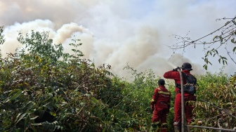 Karhutla Kerumutan Pelalawan Ancam Habitat Harimau Sumatera