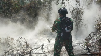 Siapa Tim Alfa? Mengenal Unit TNI yang Terjun Padamkan Api di Way Kambas