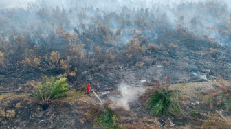 Petugas dari Manggala Agni Daops Sumatera XVI-Lahat memadamkan kebakaran lahan gambut di Desa Kota Bumi, Kecamatan Tanjung Lubuk, Kabupaten Ogan Komering Ilir (OKI), Sumatera Selatan, Rabu (26/8/2026).  [ANTARA FOTO/Nova Wahyudi/nym]