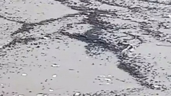 Limbah Diduga Minyak Mentah Cemari 800 Meter Pantai Cemarajaya, Nelayan Karawang Resah