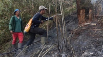 Semeru Membara: Jalur Pendakian Ditutup Total, Pendaki Dievakuasi!