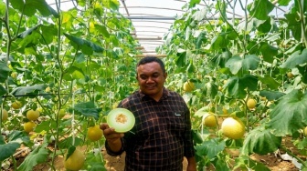 Hortikultura Daerah Naik Kelas, Melon Petani Asal Blitar Tembus Pasar Singapura