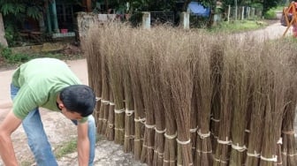 Dari Lidi Sawit Jadi Cuan, Ketika Produk Sederhana Petani Indonesia Tembus Pasar Tiongkok