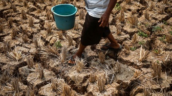 Warga berjalan melintasi lahan persawahan yang terdampak kekeringan di Desa Karangindah, Bojongmangu, Kabupaten Bekasi, Jawa Barat, Kamis (27/8/2026). [ANTARA FOTO/Darryl Ramadhan/wsj]