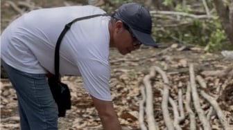 Sabotase di Pesisir Kalianda: Saat Parang Mengincar Mangrove Pantai Aruna