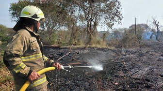 30 Hektare Lahan di Rorotan Ludes Terbakar, Diduga Sengaja Dibakar Orang