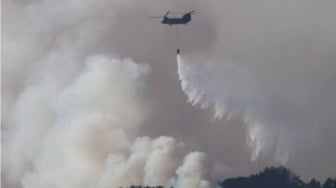 Darurat Karhutla Kalimantan, Jepang Kirim 600 Pasukan Khusus dan Kapal Amfibi