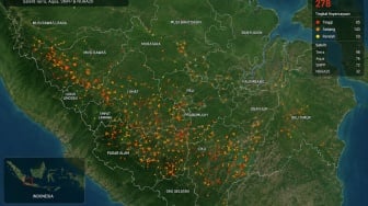 5 Cara Cek Karhutla Lewat HP, Pantau Hotspot hingga Sebaran Asap