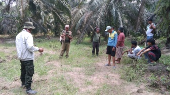 Serangan Gajah di Bengkalis Lukai Warga, Seorang Meninggal usai Kelelahan Berjaga