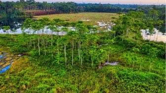 Polda Riau Lanjutkan Kasus Jual Beli Lahan Kawasan Hutan Rokan Hilir