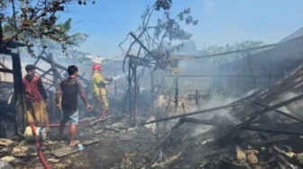 Kandang Sapi di Gresik Terbakar, Begini Kronologi Lengkapnya