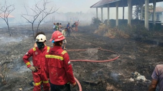 Api Meluas di Perkebunan Makaeling, ERT Gosowong Bergerak Bantu Pemadaman