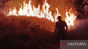 Karhutla Jabar Tembus 138 Kejadian, Sumedang Terbanyak dan Sukabumi Terluas
