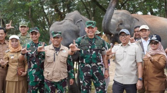 Nasib Gajah Sumatera Usai Karhutla di Way Kambas