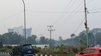 Kualitas Udara Pekanbaru dan 4 Kabupaten Lain di Level Tidak Sehat