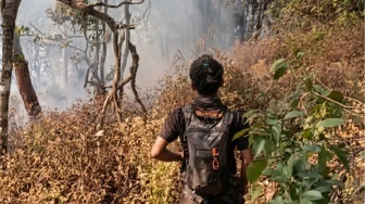 Gunung Kawi Membara! Jalur Sirah Kencong Ditutup Usai Hutan Dilalap Api