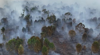 Karhutla di Aceh Barat Meluas, Tembus 6,5 Hektare Lahan