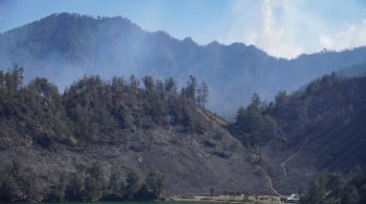 Kondisi vegetasi terdampak kebakaran di sekitar Danau Ranukumbolo, kawasan Taman Nasional Bromo Tengger Semeru (TNBTS), Lumajang, Jawa Timur, Selasa (1/9/2026). [ANTARA FOTO/Irfan Sumanjaya/tom]