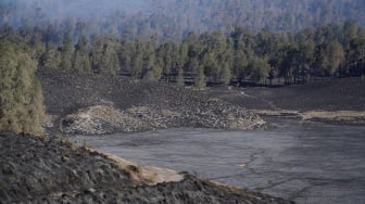 Kondisi vegetasi terdampak kebakaran di sekitar blok Oro-oro Ombo, kawasan Taman Nasional Bromo Tengger Semeru (TNBTS), Lumajang, Jawa Timur, Selasa (1/9/2026). [ANTARA FOTO/Irfan Sumanjaya/tom]