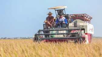 Antisipasi Gagal Panen! Pemprov Jateng Siapkan Asuransi 10 Ribu Hektar Sawah Lewat Jamkrida