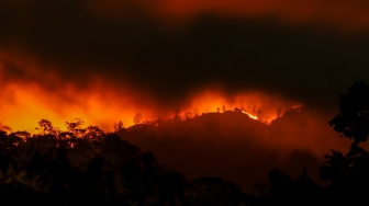 Gunung Merapi Ungup-ungup Terbakar, Api Mendekati Jalur Kawah Ijen