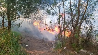 Api Karhutla Merembet ke Atas Gunung Ijen, Terpantau Mendekati Bibir Kawah