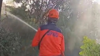 Ijen Membara! Api Kepung Pondok Bunder, Jalur Pendakian Resmi Ditutup Total
