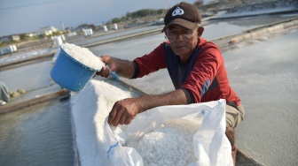 Petambak memasukkan garam hasil panen ke dalam karung di kawasan tambak Talise, Palu, Sulawesi Tengah, Jumat (4/9/2026). [ANTARA FOTO/Muhammad Rifki Hasan/nym]