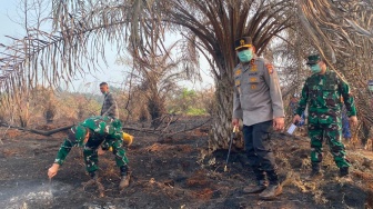 Kapolda-Pangdam Cek Karhutla Siak, Empat Wilayah Riau Jadi Atensi
