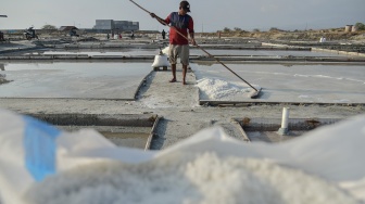 Seorang petambak memanen garam di kawasan tambak Talise, Palu, Sulawesi Tengah, Jumat (4/9/2026). [ANTARA FOTO/Muhammad Rifki Hasan/nym]