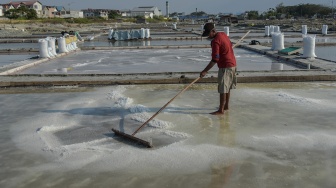 Impor Garam Ditargetkan Setop 2029, Produksi Nasional Digenjot