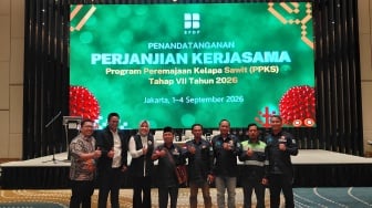 Bank Sumsel Babel Perkuat Pembiayaan Peremajaan Sawit Berkelanjutan