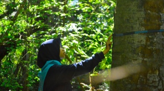 Air Tidak Bisa Dicetak Ulang, Hutan Jangan Dihabiskan demi Uang