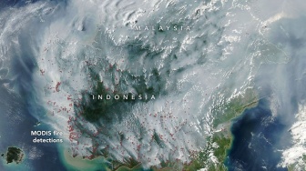 Karhutla Kalimantan Disorot Internasional, NASA: Terus Terbakar hingga Musim Hujan