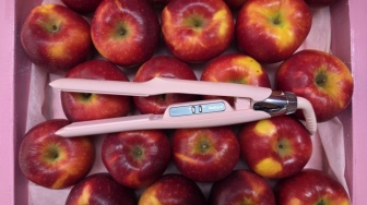 Ketika Beauty Tools Jadi Bagian dari Gaya Hidup, Warna Pink Kembali Jadi Favorit