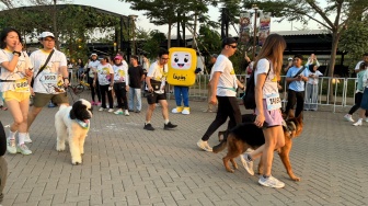 Snoopy Run Indonesia 2026, Momen Berkumpul Keluarga hingga Komunitas Pecinta Anabul