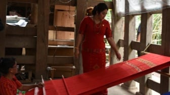 Siapa Eva Stevany Rataba? Punya Harta Rp16 Miliar tapi Masuk Desil 4 Kelompok Penerima Bansos