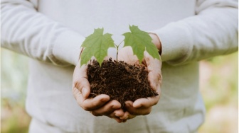Tanam Pohon Setelah Menebang Hutan: Solusi atau Pencitraan?