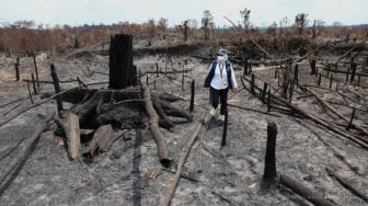 Otorita IKN Larang Bakar Lahan di Kawasan Tahura Bukit Soeharto