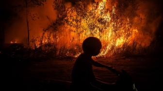 Media Asing Sorot Kebakaran Hutan Indonesia Sumbang Emisi Tertinggi Dunia