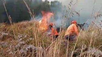Karhutla Bromo Meluas ke Bukit Teletubies, Petugas Berpacu dengan Angin dan Medan Curam
