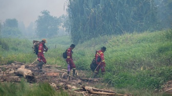 Personel Manggala Agni Daops Sumatera IX-Jambi berjalan menuju lokasi pemadaman kebakaran hutan di kawasan Suaka Margasatwa (SM) Padang Sugihan, Kecamatan Air Sugihan, Kabupaten Ogan Komering Ilir (OKI), Sumatera Selatan, Kamis (10/9/2026). [ANTARA FOTO/Nova Wahyudi/tom]