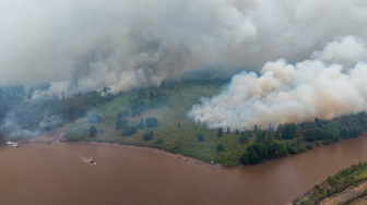 Foto udara asap membumbung tinggi dari hutan yang terbakar di kawasan Suaka Margasatwa (SM) Padang Sugihan, Kecamatan Air Sugihan, Kabupaten Ogan Komering Ilir (OKI), Sumatera Selatan, Kamis (10/9/2026). [ANTARA FOTO/Nova Wahyudi/tom]